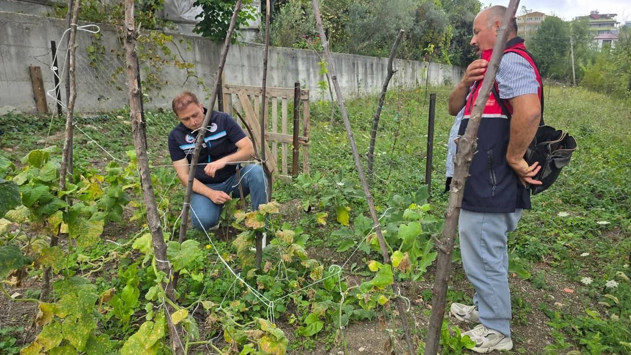 Kastamonu’da dağıtılan fideler toprakla buluştu