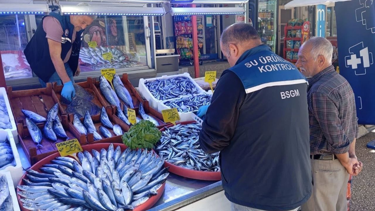 Kastamonu'da balıkçılar denetlendi