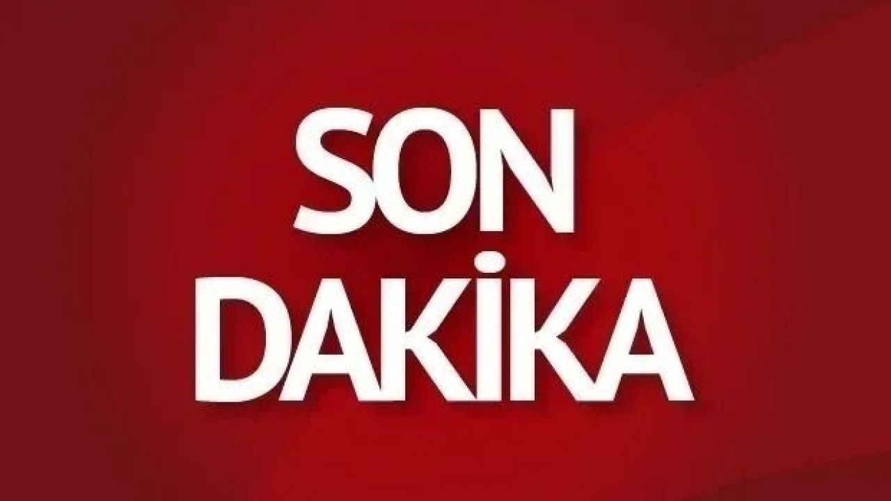 Kastamonu’da ayı dehşeti!