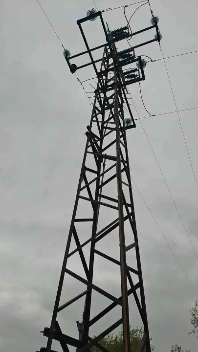 Elektrik tellerine çarpan kuş yangına sebep oldu