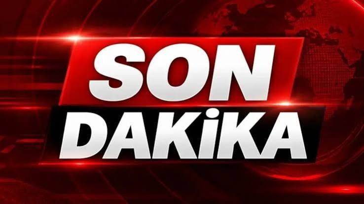 Kastamonu’da kurt dehşeti!