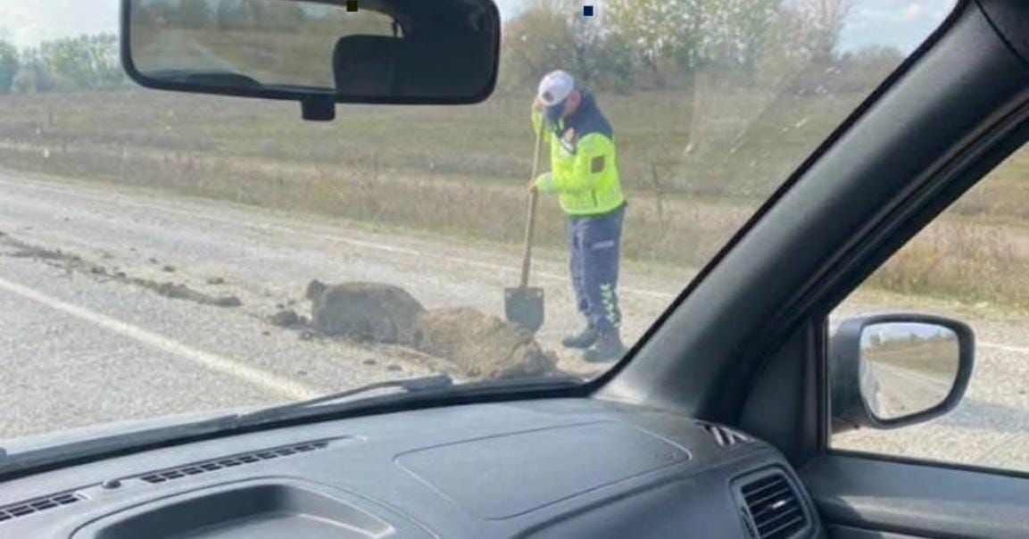 Devrekani’de jandarma personelinden örnek davranış