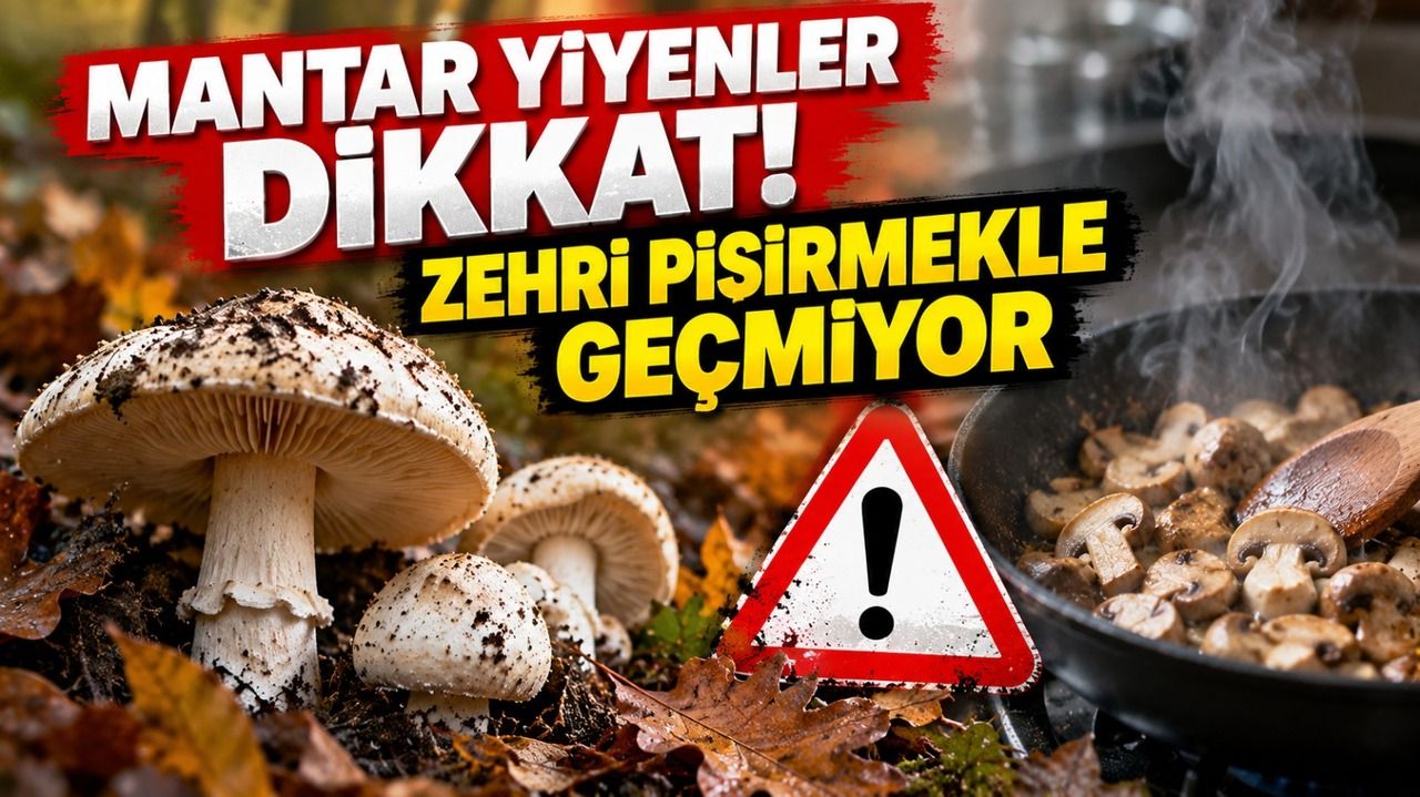 Mantar yiyenler dikkat! Zehri pişirmekle geçmiyor