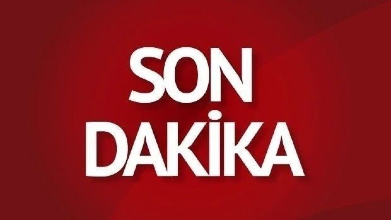 Kastamonu’da ormanlık alanda dehşet: Kavga ölümle bitti!