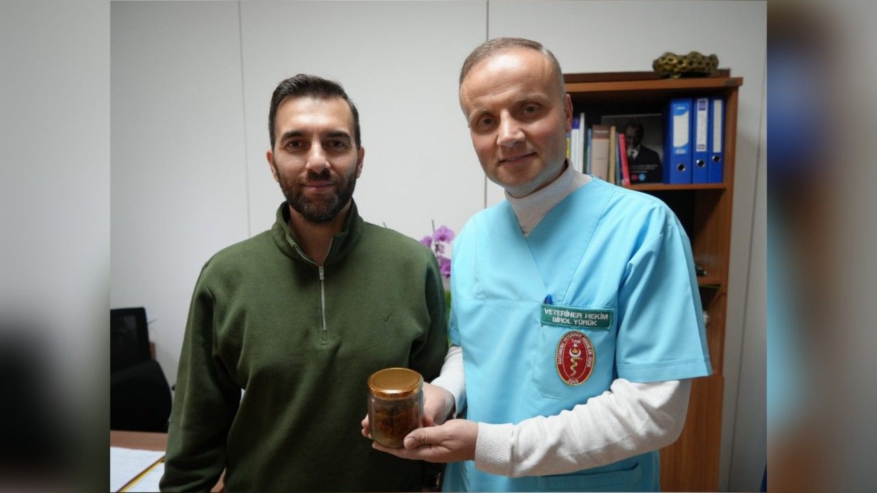 İneğin boğazından çıkarıldı: Üniversitede anlatılacak