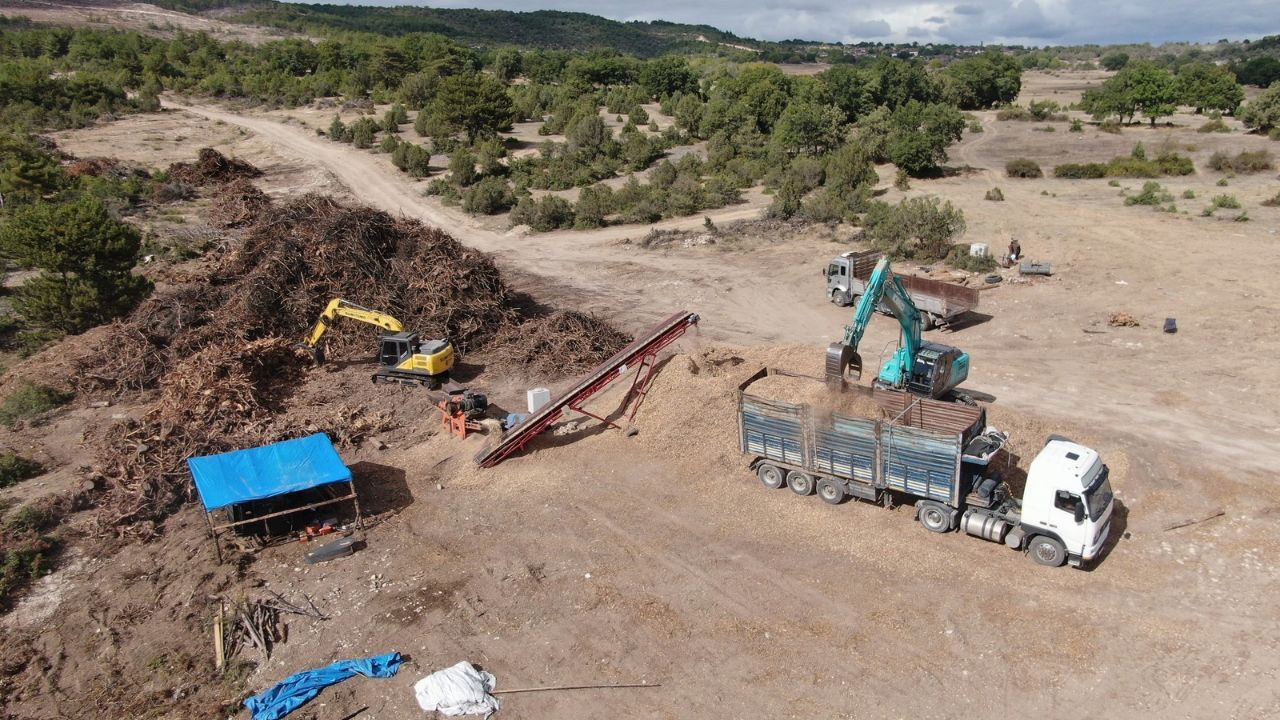 Kastamonu'da yanan 2 bin 736 hektarlık alan yeniden yeşerecek!