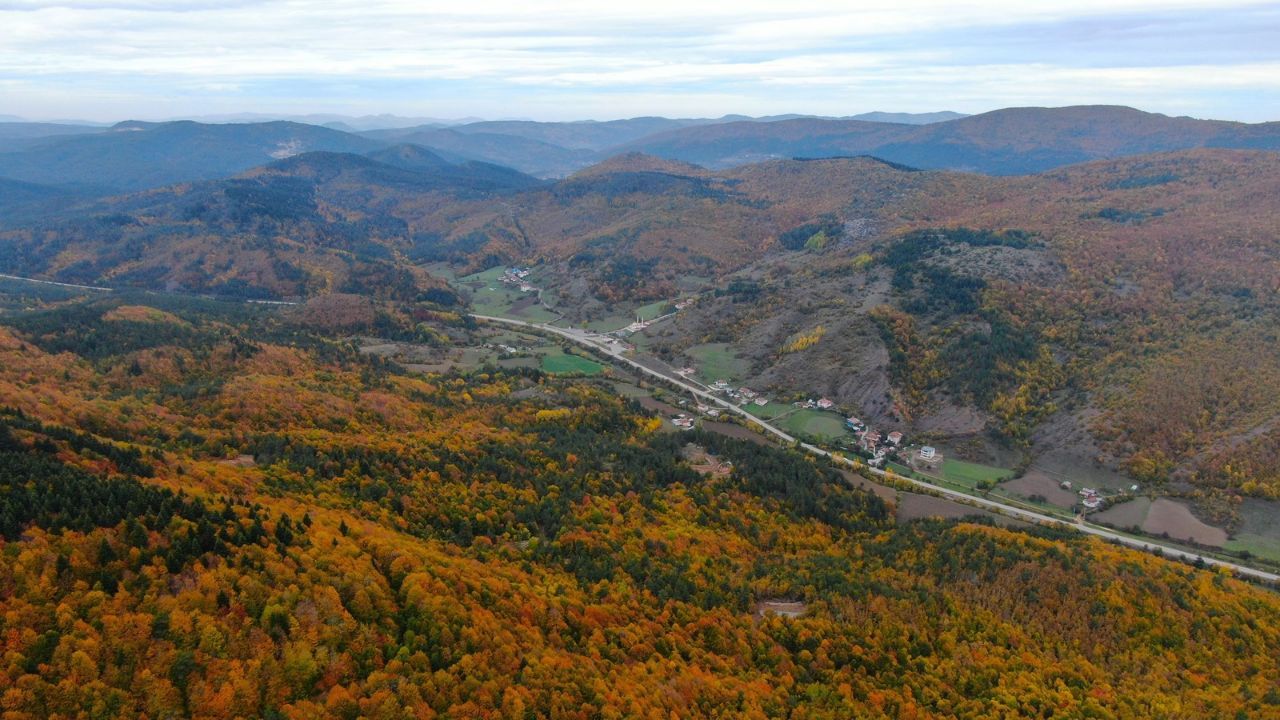 Kastamonu'da sonbaharın binbir tonu: Görenleri mest ediyor