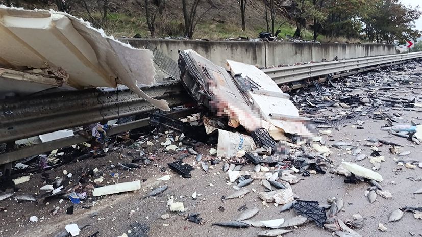 Tonlarca balık yola saçıldı: 1 ölü!