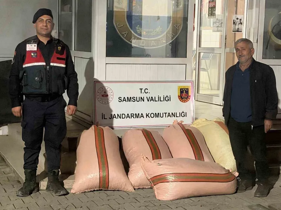 Fındık dolandırıcılığında 2 gözaltı