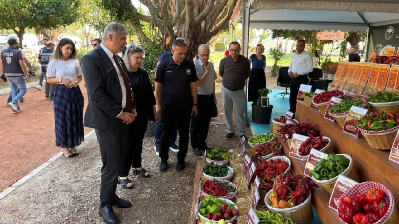 Kastamonu’nun lezzeti Adana’da!