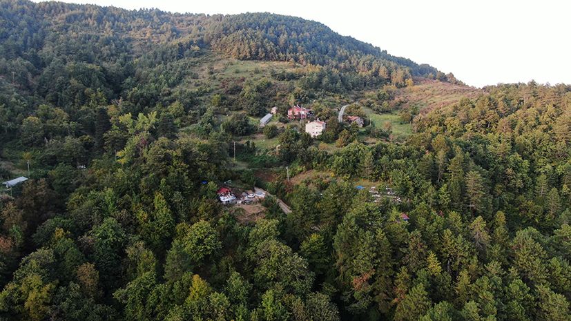 Kastamonu'da ‘kuzu kestane’ bu yıl yüz güldürüyor