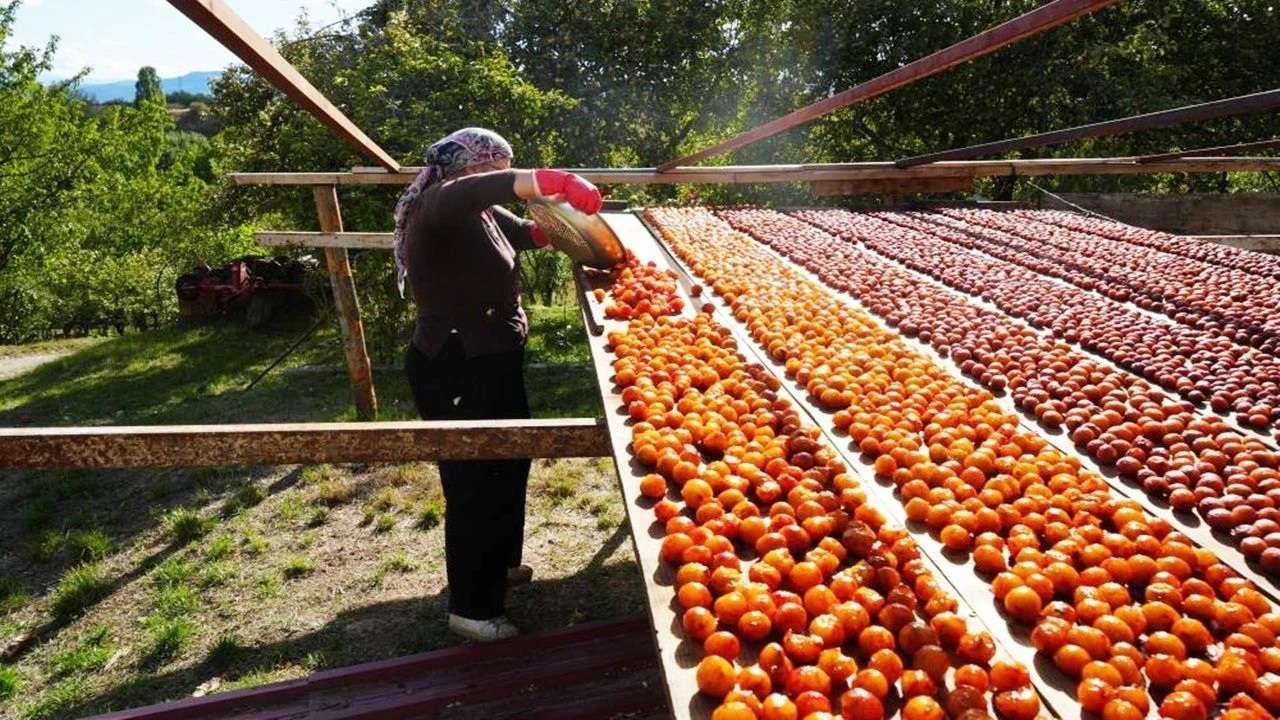 'Ben döneceyin anam!' Kastamonu'nun gurbet sızısı