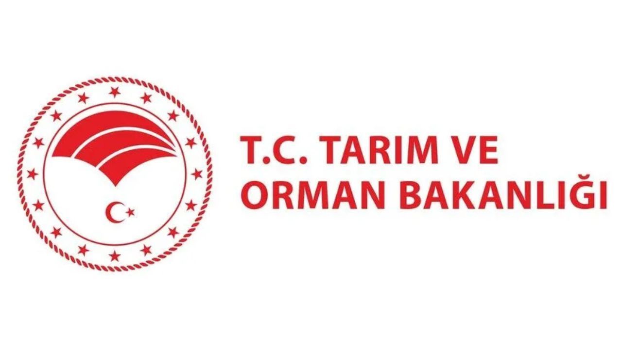 Üreticiler dikkat: Sığır ithalatı için başvurular başladı!