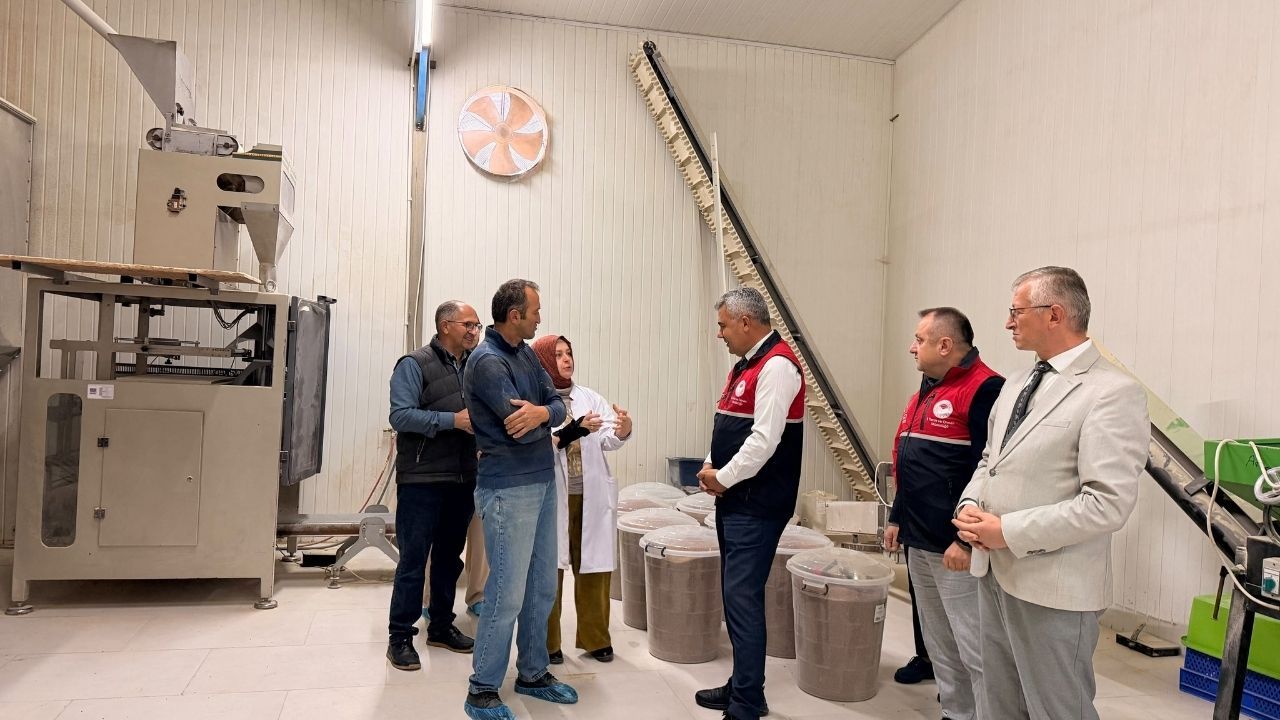Kastamonu’da siyez üretim tesisleri denetlendi
