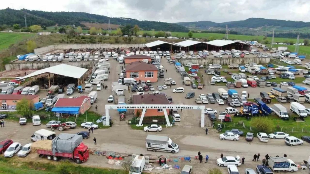 Kastamonu’da canlı hayvan pazarları kapatıldı