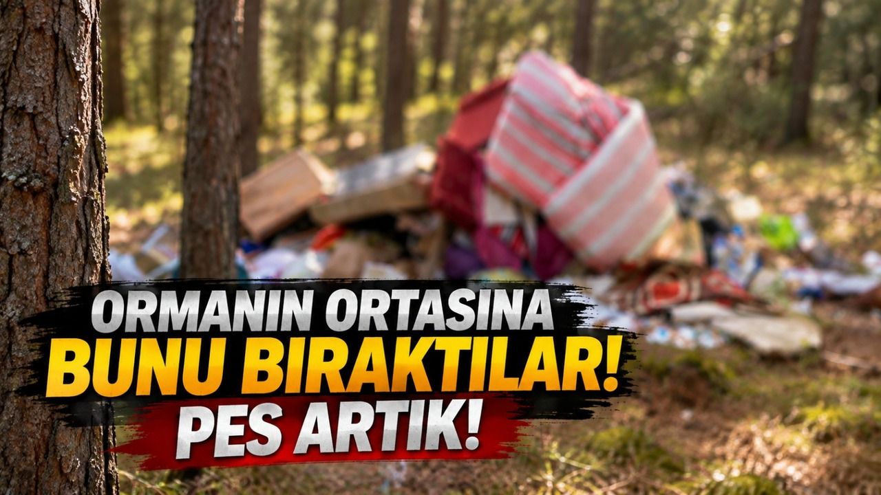 Ormanın ortasına bunu bıraktılar: Pes artık!