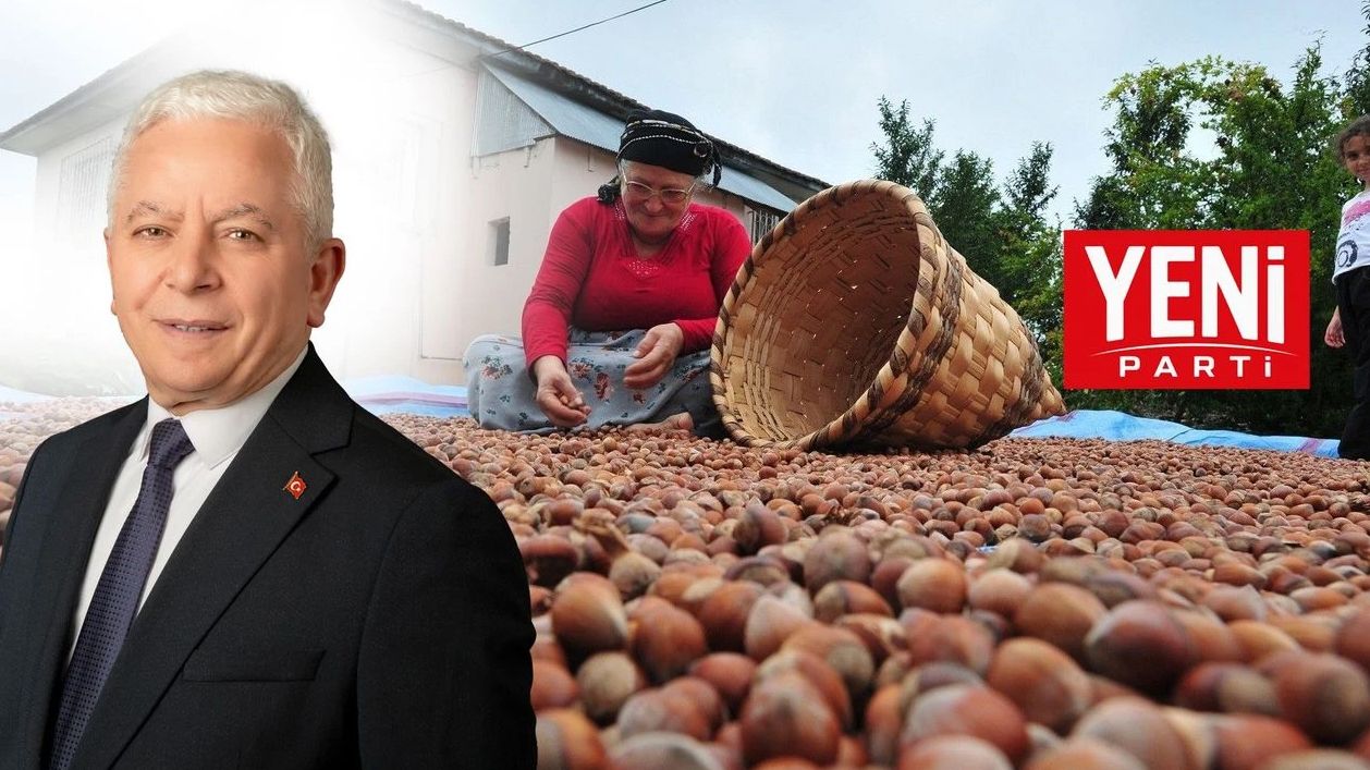 İnebolu Yeni Parti’den ‘fındık’ tepkisi: ‘Üretici hakkını alamıyor!’