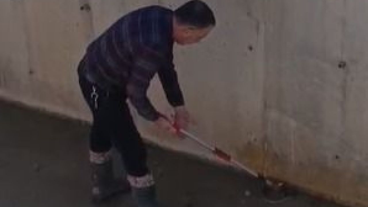 Dikkat çeken kurtarma operasyonu! Şoför dereye indi
