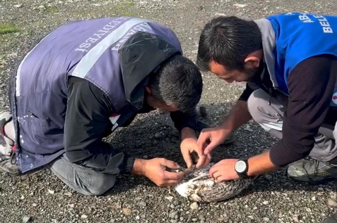 Kastamonu sahilinde üzücü manzara!
