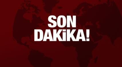 Otomobil, domuz sürüsüne çarptı